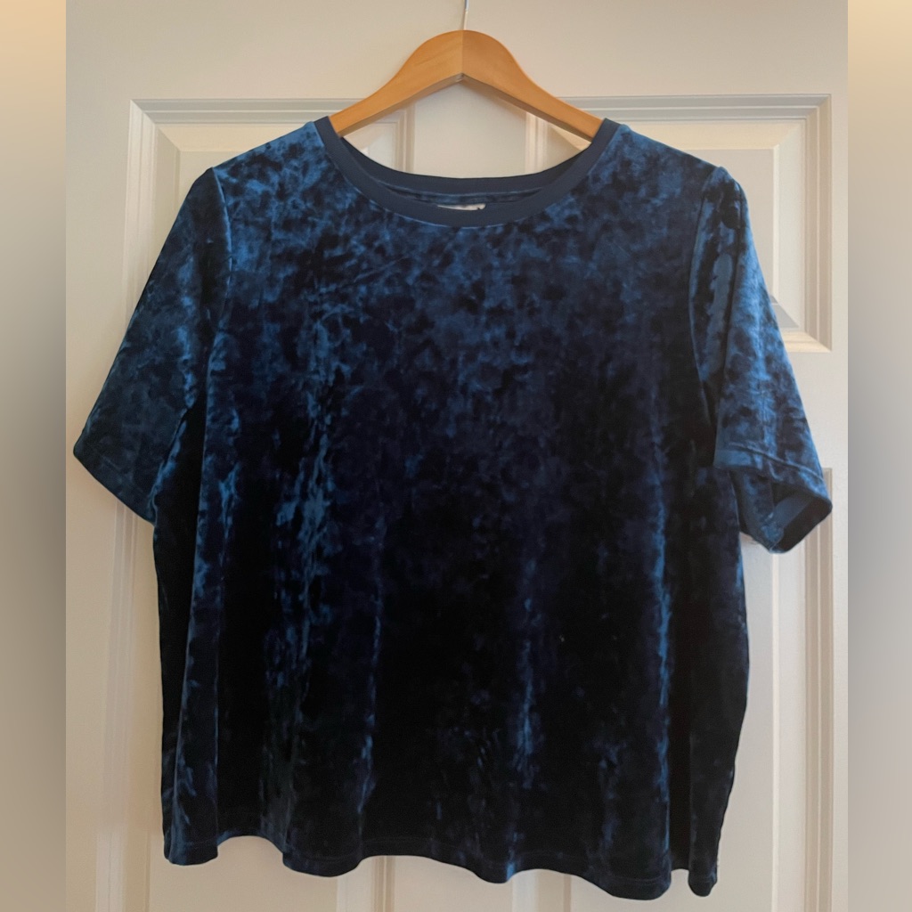 Ava & Viv Blue Velvet Top